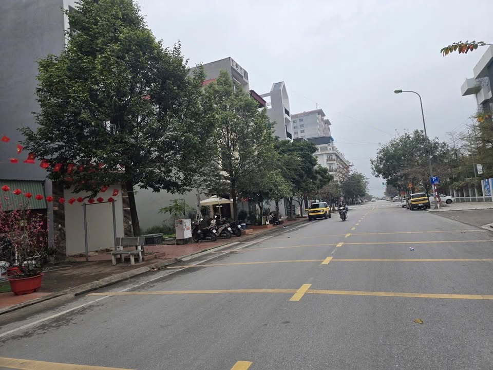 Bán đất mặt phố Tô Hiến Thành 81m² - Vị trí kinh doanh đắc địa!