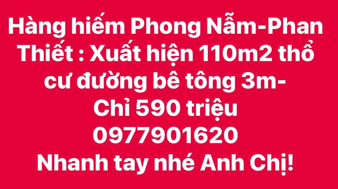 Đất thổ cư Phong Nẫm - Phan Thiết 110m² - Chỉ 590 triệu, sẵn sổ hồng