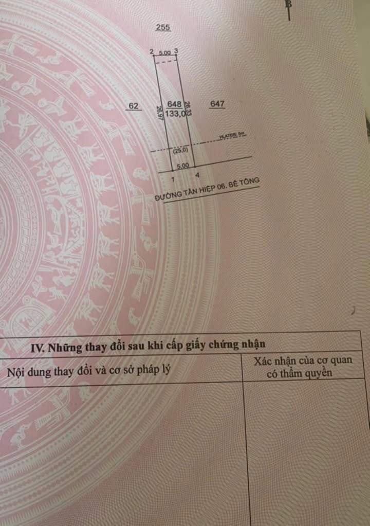 Đất Nền Bàu Bàng 135m² Giá 560 Triệu - Sổ Hồng Thổ Cư Sẵn Sàng