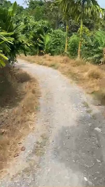 Đất Tân Khánh Đông Sa Đéc 1.500m² 1.1 tỷ - Sổ đỏ chính chủ