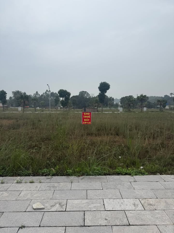 Cho thuê đất 180m² Phường Vân Phú, Việt Trì - Vị trí đắc địa