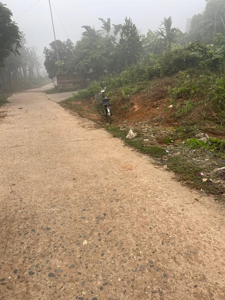 Đất thổ cư 104m² mặt tiền 5m đường Tôn Đức Thắng, Việt Trì - Giá 1.9 tỷ