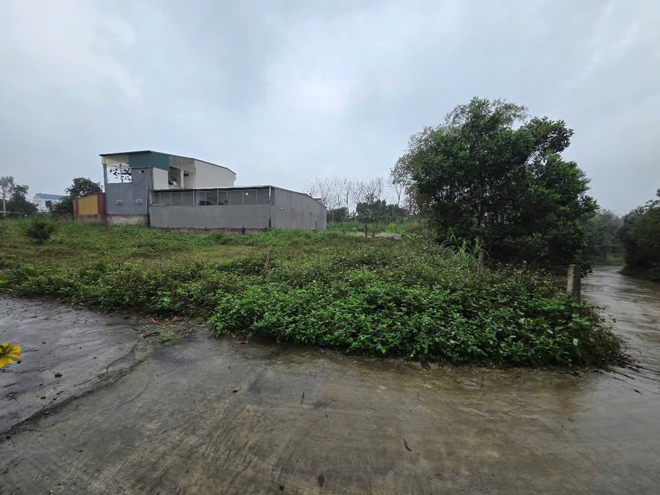 Đất nền Việt Trì 300m² - Đường to ô tô, pháp lý rõ ràng!