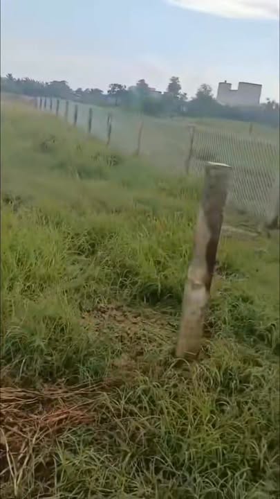 Đất nền Gò Công, Tiền Giang 200m² giá 700 triệu - Sổ đỏ chính chủ