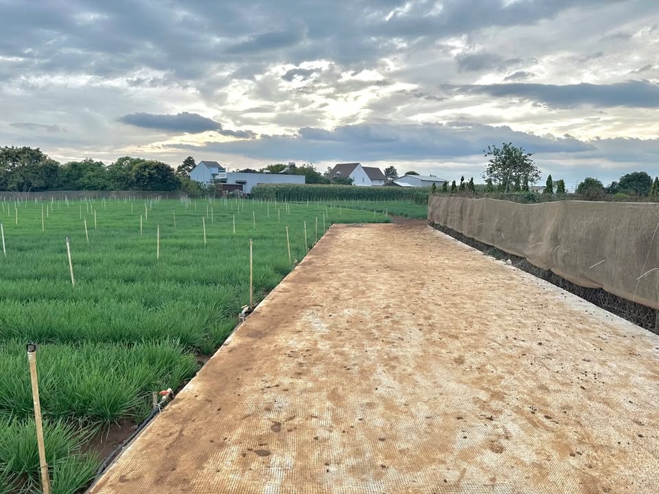 Đất nền Liên Nghĩa 150m² giá 1.65 tỷ - Sổ hồng chính chủ, công chứng ngay!