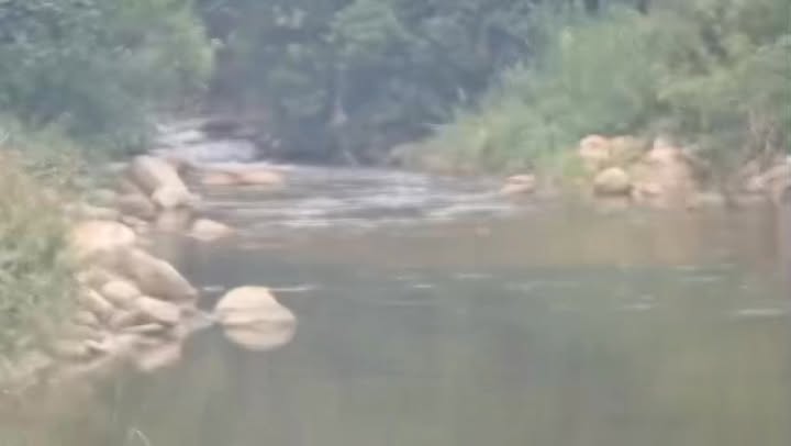 Bán 9ha Đất Nghỉ Dưỡng Vạn Bình 1.7 Tỷ/Ha - View Suối Cực Phẩm