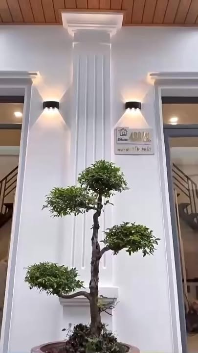 Nhà 1 Trệt 1 Lầu Huỳnh Tấn Phát Q7 - 125m² Giá 8.7 Tỷ