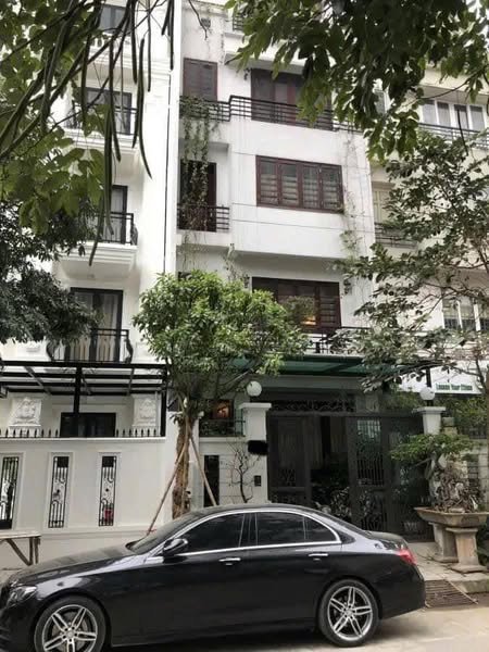 Nhà Liền kề Lô Góc KĐT Xa La, Hà Đông - 65m² x 4 Tầng, Kinh Doanh