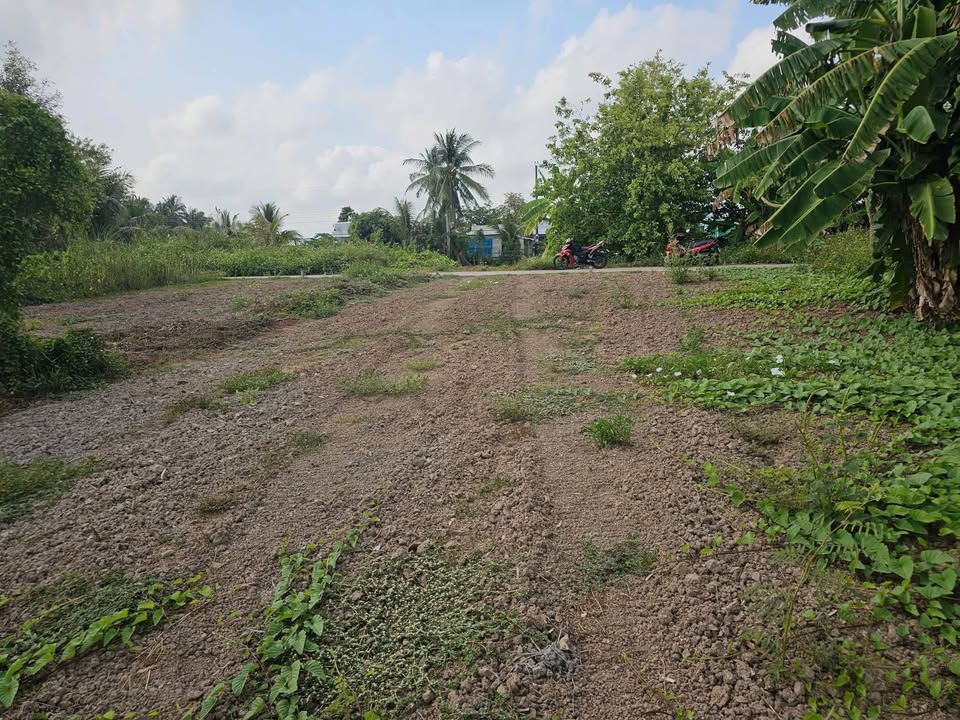 Đất Nền Kênh Tư Tây, Châu Thành 165m² - Sổ Đỏ Rõ Ràng, Giá Đầu Tư 399 Triệu