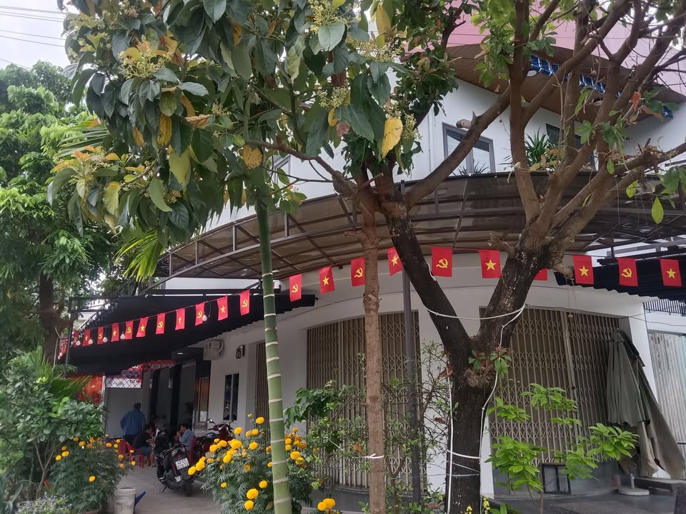 Mặt bằng kinh doanh Hòa Xuân Đà Nẵng - Vị trí đắc địa!