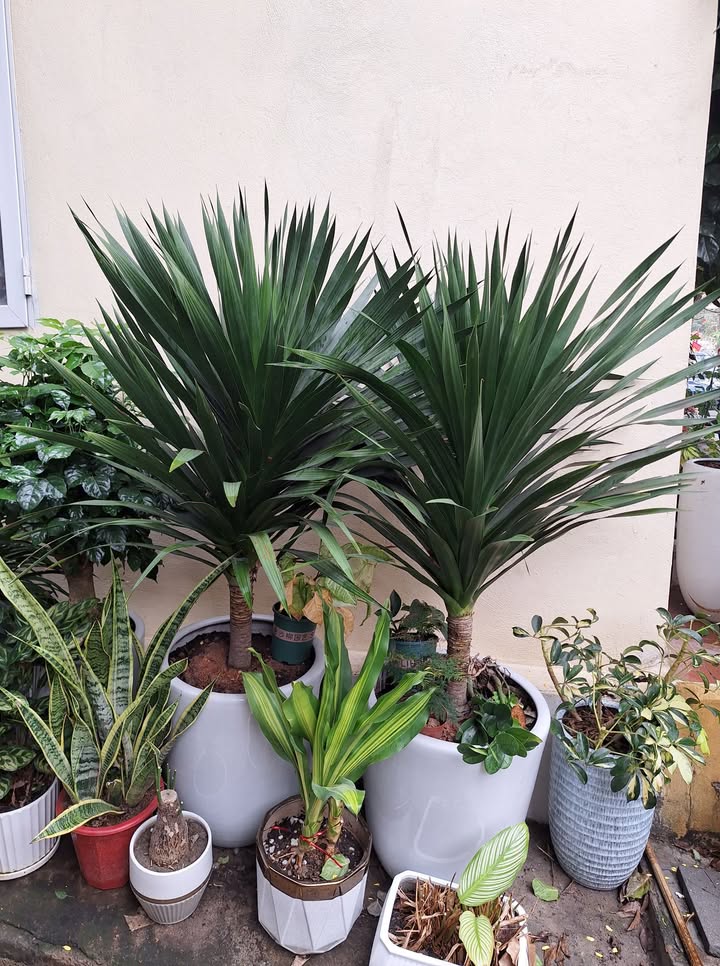 Đất nền Ninh Mỹ - Hoa Lư 70m² - Sổ đỏ chính chủ, giá đầu tư