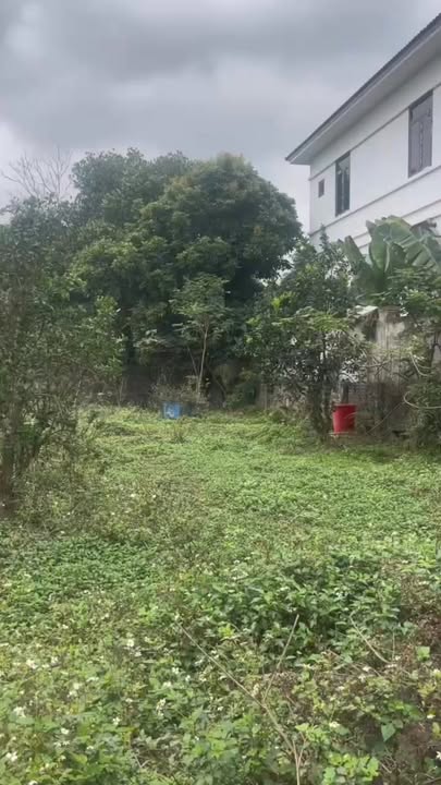 Đất Kim Long Tam Dương 1.140m² 3,42 tỷ - Xây dựng tự do