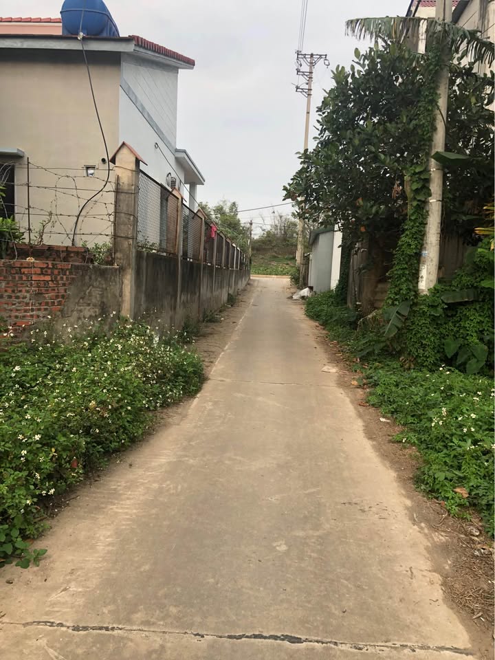 Đất nền Cao Đức Gia Bình 124m² - Tiềm năng tăng giá