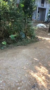 Đất nền Vụ Bản Nam Định 648m² – Sổ đỏ chính chủ, tiềm năng kinh doanh!