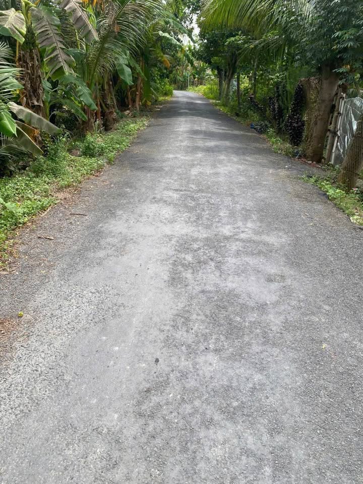 Bán đất vườn Mang Thít 1161m² giá 2.5 tỷ - View sông cực mát!