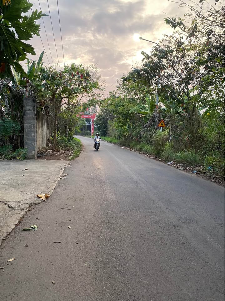 Bán Đất Vĩnh Cửu 220m² - Sổ Đỏ Rõ Ràng, Giá 280 Triệu