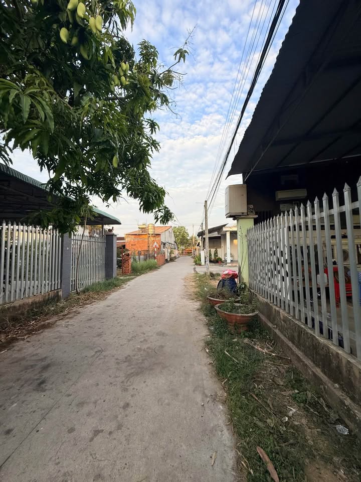 Bán Đất Nền 10x27m Hướng Nam Gần QL22B, Châu Thành, Tây Ninh - 1.2 Tỷ