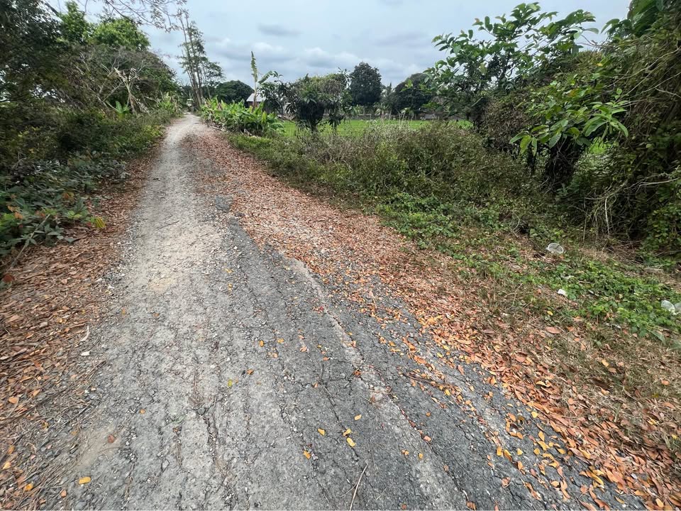 Bán Đất Vườn An Giang 2132m² - View Nghỉ Dưỡng Thoại Sơn