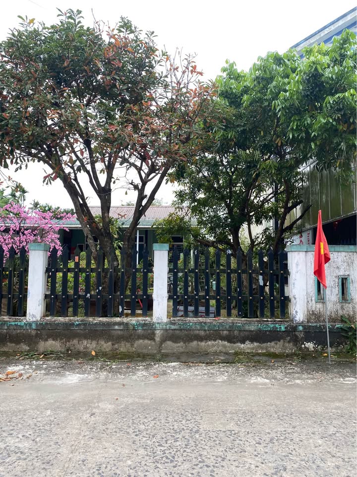 Đất nền Phường 3 Quảng Trị 172m² hơn 1 tỷ - Sổ đỏ chính chủ!