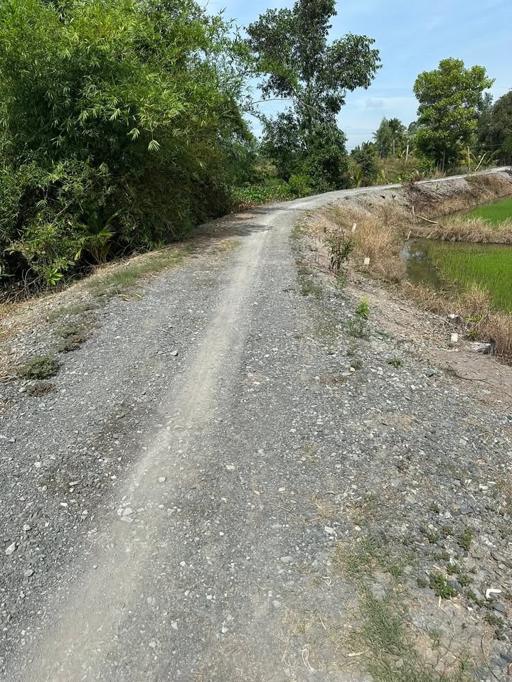 Đất nền Xã Tân Phú Long An 8655m² - Tiềm năng tăng giá vượt trội!