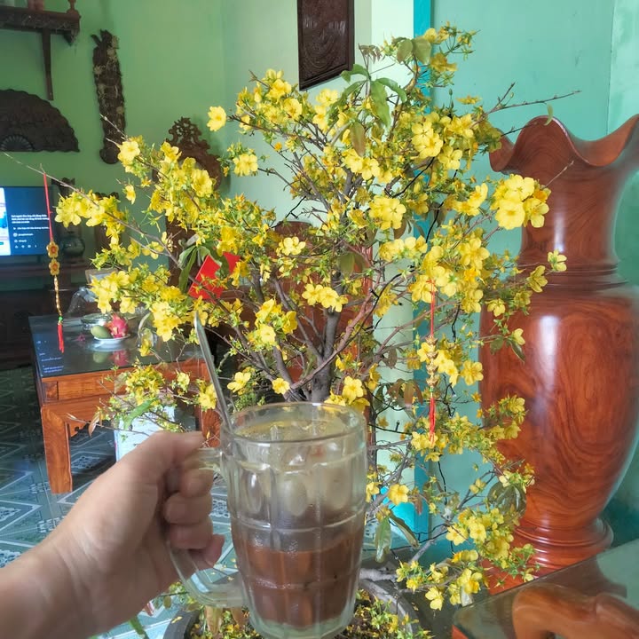 Đất TĐC Khánh Hội Ninh Thuận 128m² - Vượng Khí Khai Lộc, Sổ Đỏ Rõ Ràng