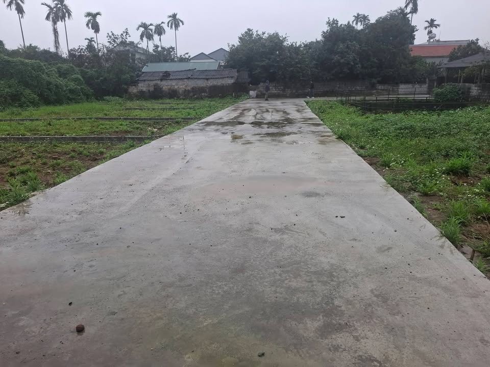 Đất nền Xã Công Lý, Lý Nhân 104m² - Sổ đỏ chính chủ!