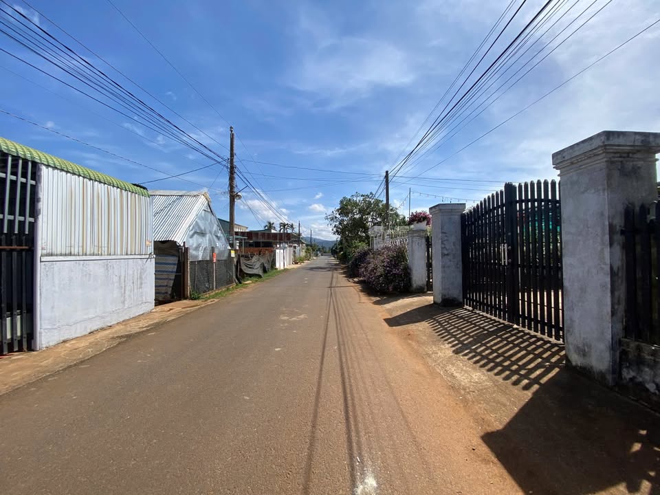 Đất Mặt Tiền Tản Đà Liên Nghĩa (832m²) - Kinh Doanh/Đầu Tư/Nghỉ Dưỡng