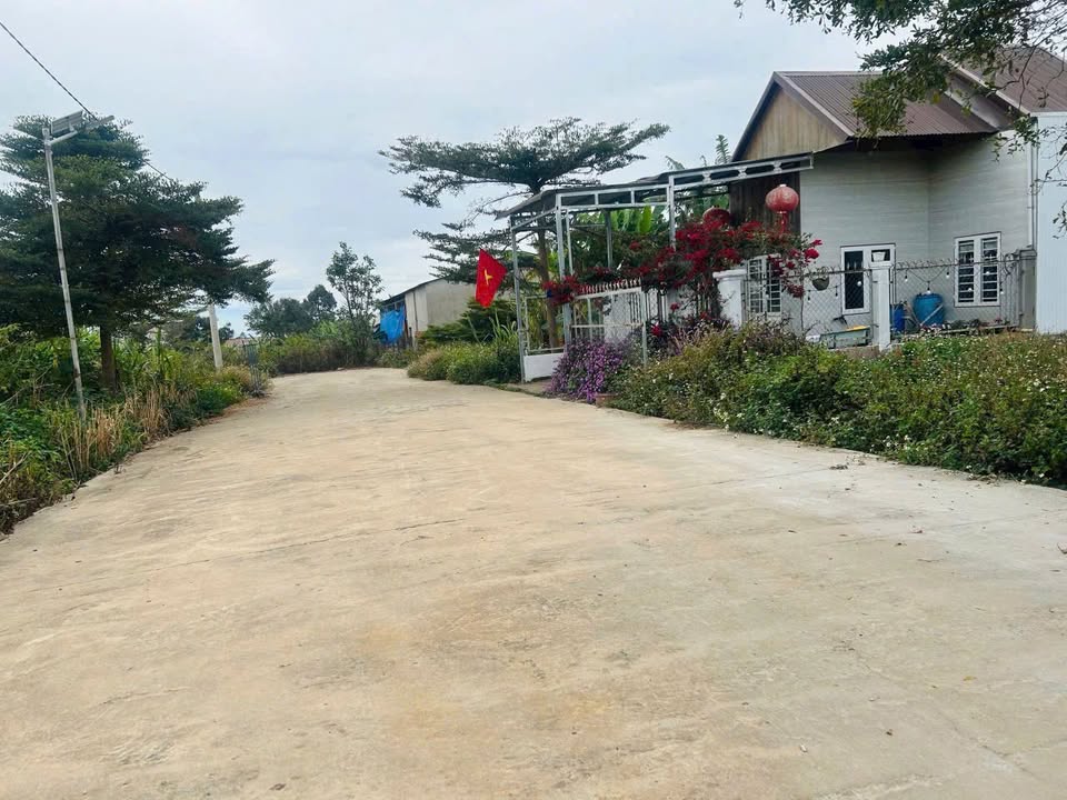 Đất nền Liên Hiệp Đức Trọng 120m² giá 950 triệu - Giá F0 CĐT!