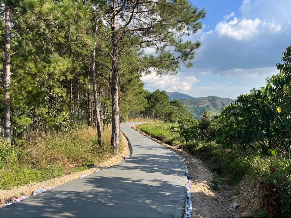 Đất nền Lâm Hà 1ha giá 3.6 tỷ - Đường to ô tô tận nơi!