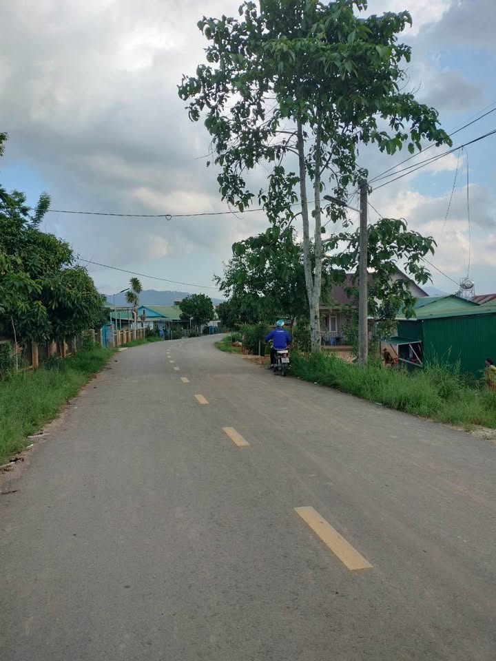 Đất Xây Dựng Sổ Riêng 2000m² Mặt Tiền Nhựa 17m - Đạ Chais, Lạc Dương