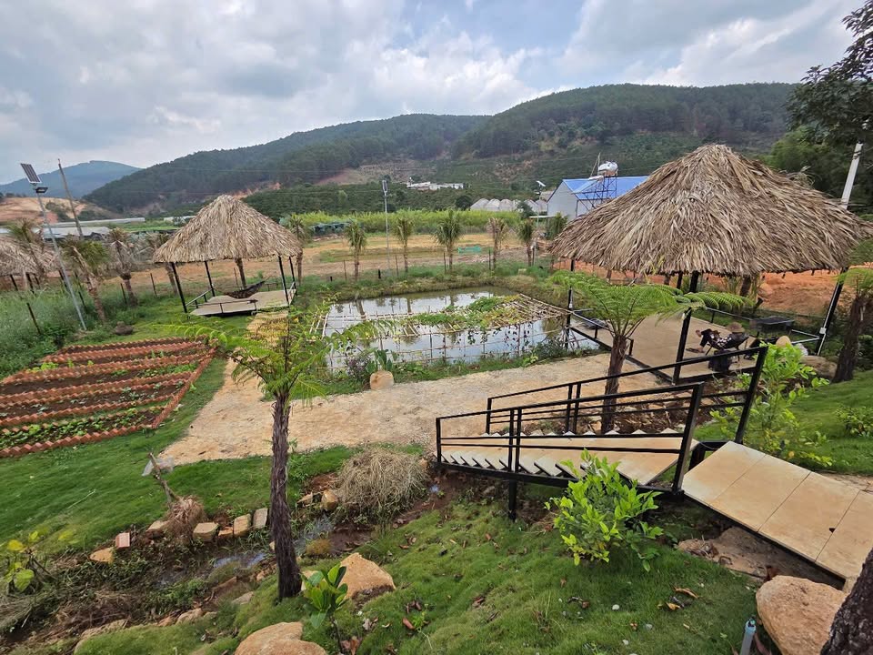 Đất Tà Nung Đà Lạt 1300m² 8,6 tỷ - Sổ đỏ chính chủ