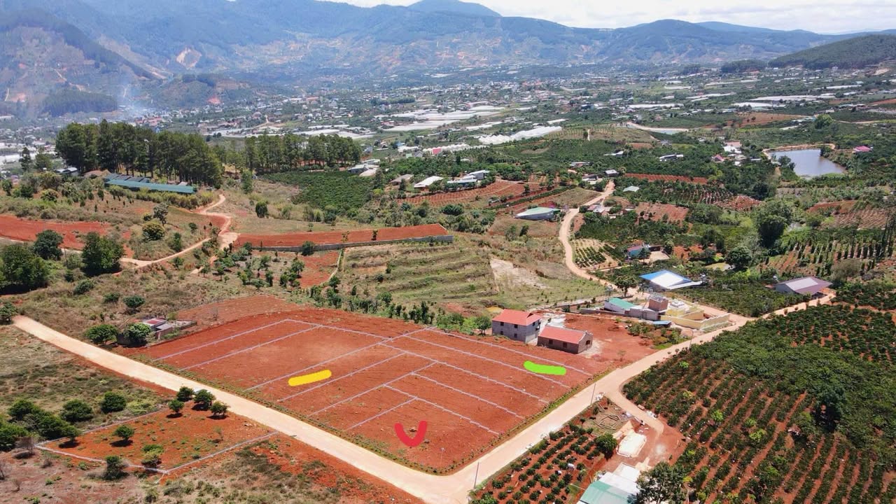 Đất nền Thị trấn Nam Ban 536m² giá 1.77 tỷ - Sổ đỏ chính chủ!