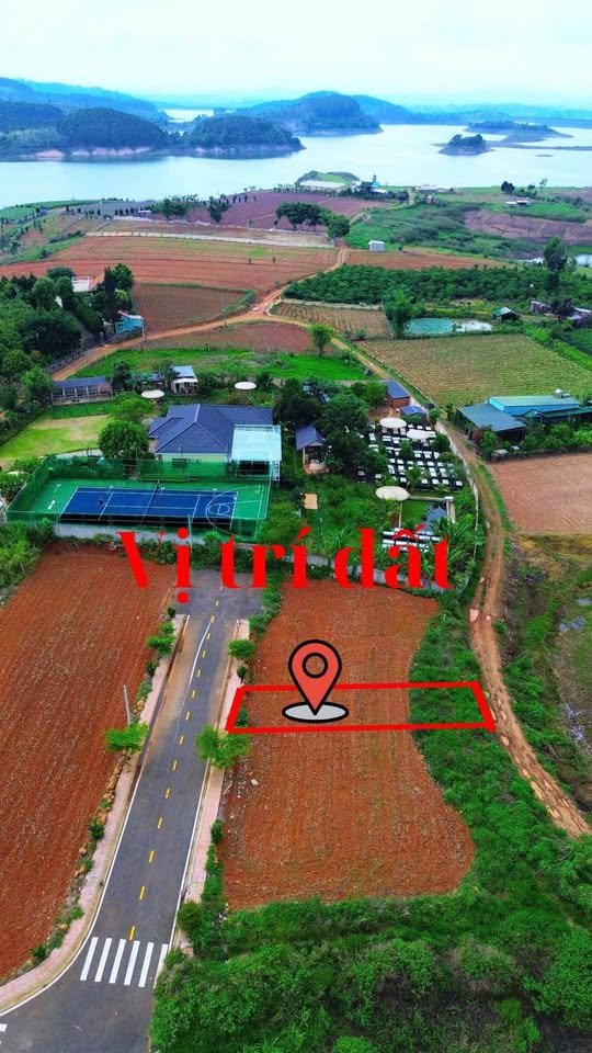 Đất nền mặt tiền nhựa Phú Hội 150m² - Sổ hồng riêng, view sông Đại Ninh