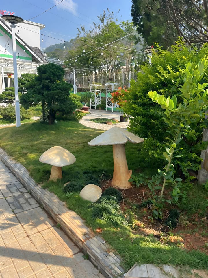 Homestay Hiệp An Đức Trọng 434m² - Đầu tư sinh lời ngay!