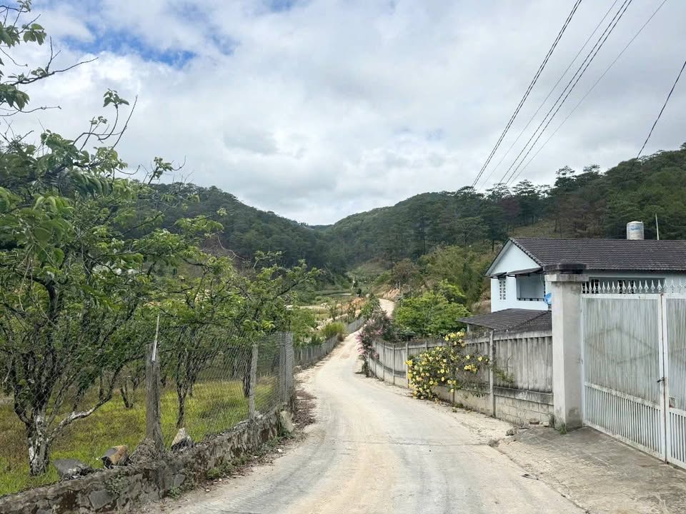 Đất nền Chân Đèo Prenn Đà Lạt 350m² - Tiềm năng tăng giá vượt trội!