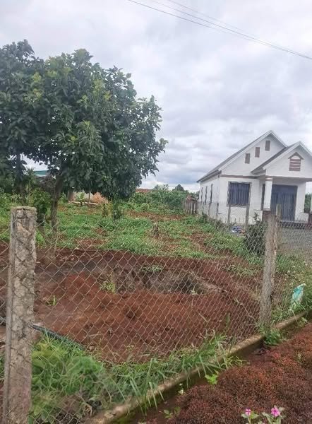 Đất nền Liên Hiệp Đức Trọng 350m² 2,3 tỷ - Sổ riêng, đầu tư nghỉ dưỡng