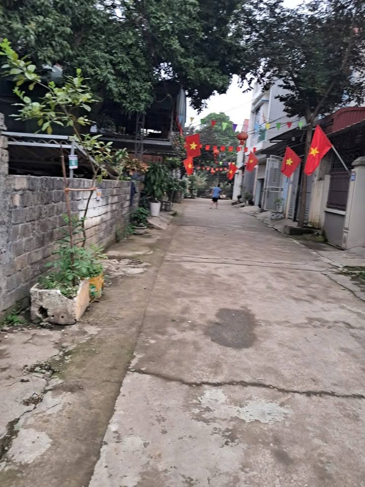 Đất nền Kim Sơn Sơn Tây 120m² - Sổ đỏ chính chủ, xây dựng tự do!