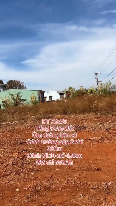 Đất Nền An Nhơn 5000m² - Sổ đỏ chính chủ, ôm đường liên xã