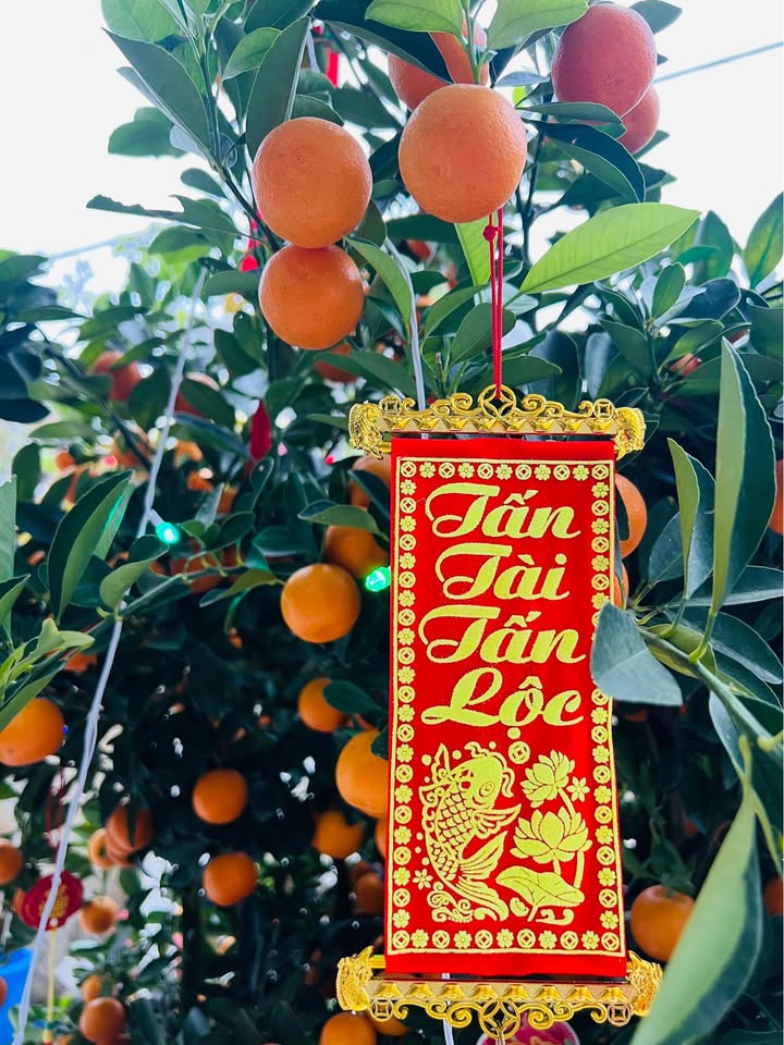 Đất nền Điện Thọ 145m² chỉ 6xx triệu - Sổ đỏ sẵn, xây dựng tự do!