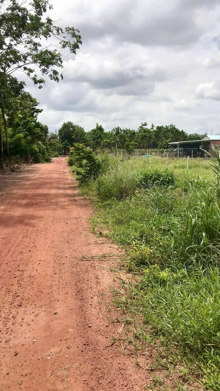 Đất nền Tân Biên 550m² giá 2.2 tỷ - Sổ đỏ chính chủ!