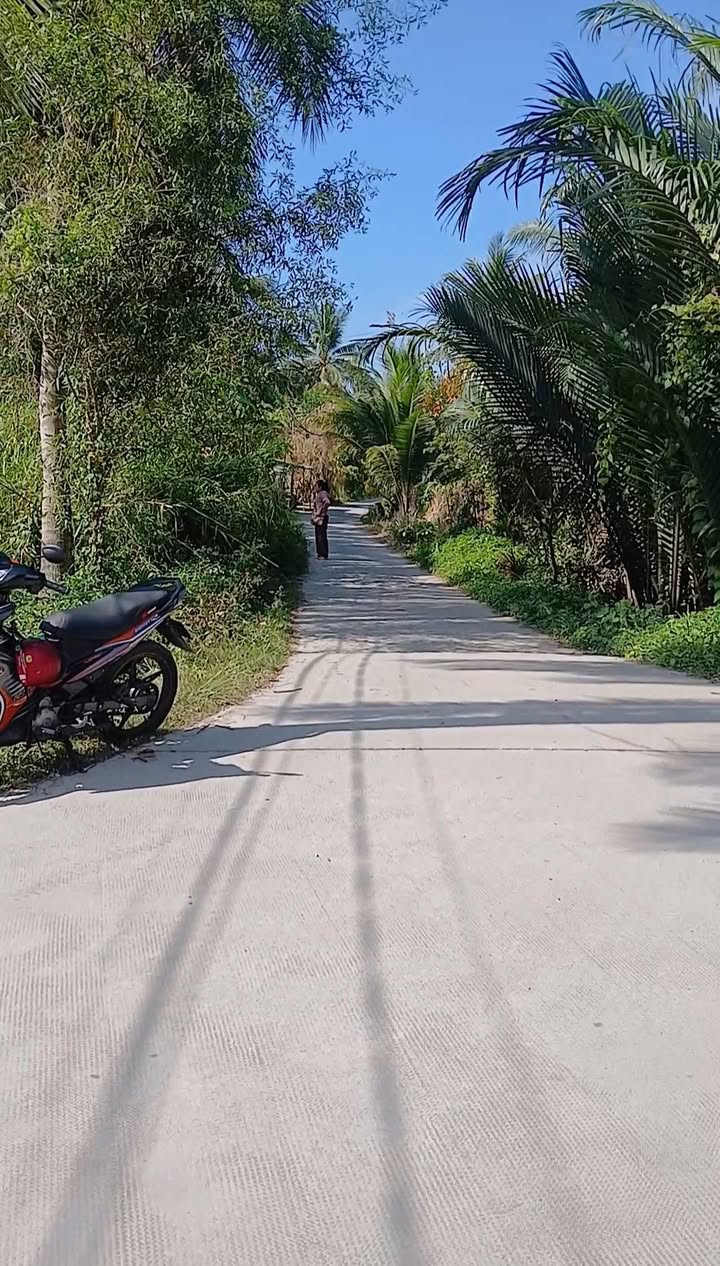 Đất nền Thanh Tân, Mỏ Cày Bắc 195m² giá 600 triệu - Sổ đỏ chính chủ