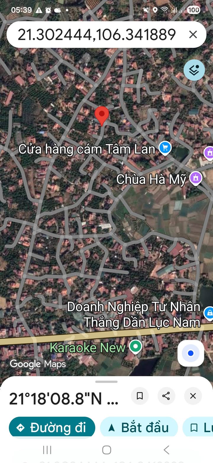 Đất Lục Nam 119m² - Sổ Đỏ Full Thổ Cư, Giá Chỉ 6xx Triệu