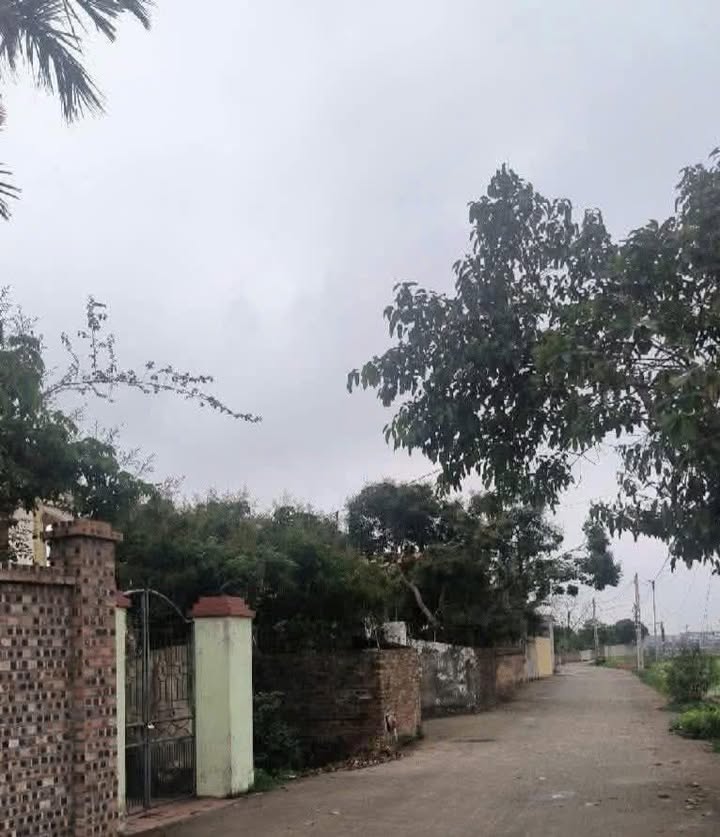 Đất nền Tân An, Bắc Giang 100m² giá 700 triệu - Sổ đỏ chính chủ!