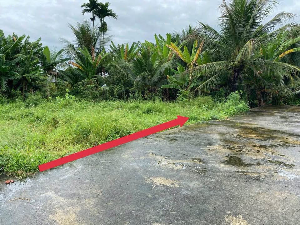 Đất nền Vĩnh Trung Nha Trang 92m² - Đường to ô tô, giá đầu tư!