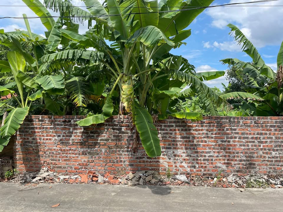 Bán Đất Lô Góc 2 Mặt Tiền Hoàng Gián, Chí Linh - 245.5m² Hướng Đông Nam