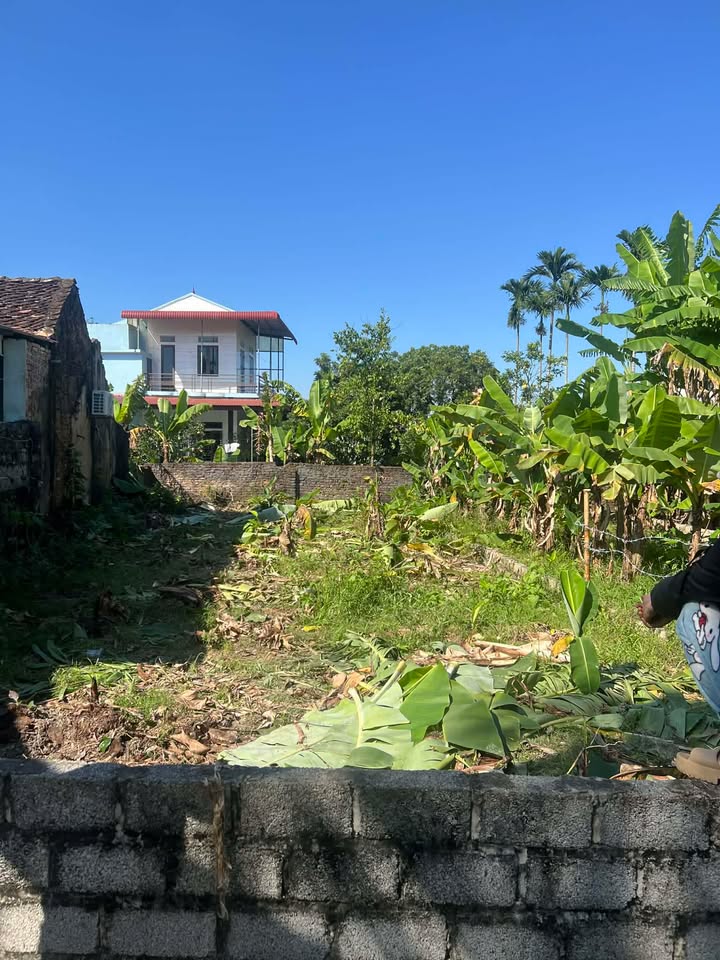 Đất Thổ Cư 102m² Thọ Xuân, Thanh Hóa - Chính Chủ, Giá Tốt