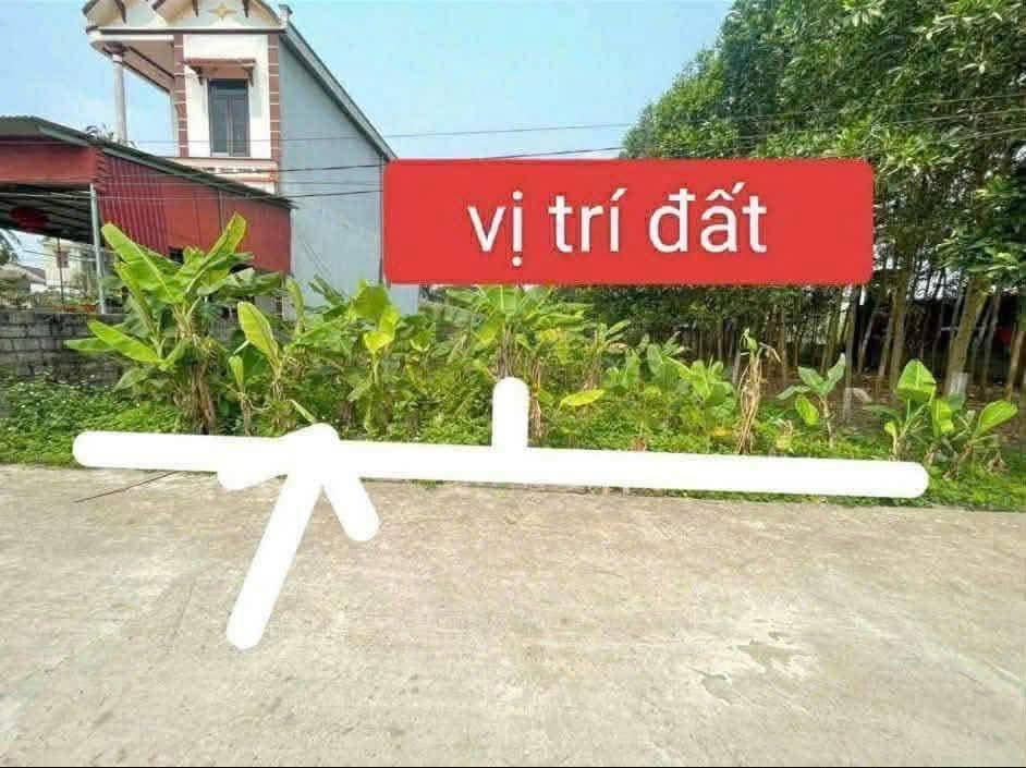 Đất nền Xuân Phong, Thọ Xuân 200m² giá 300 triệu - Tiềm năng tăng giá!