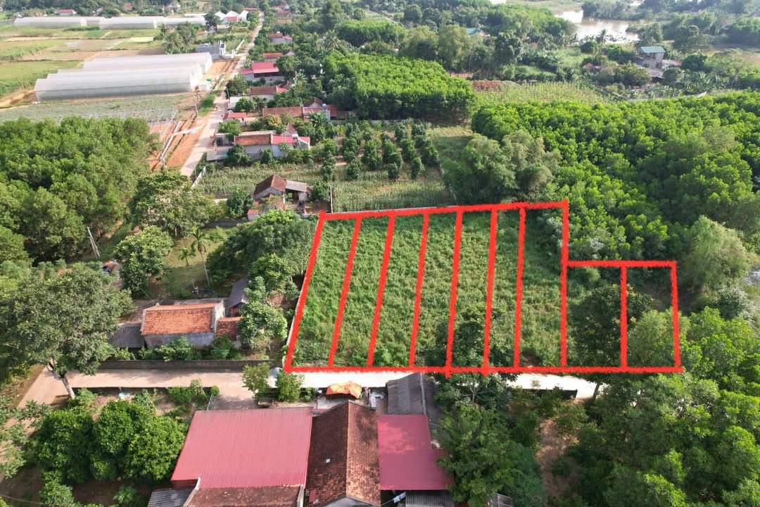 Đất nền Thọ Lập, Thọ Xuân 200m² - Sổ đỏ chính chủ!