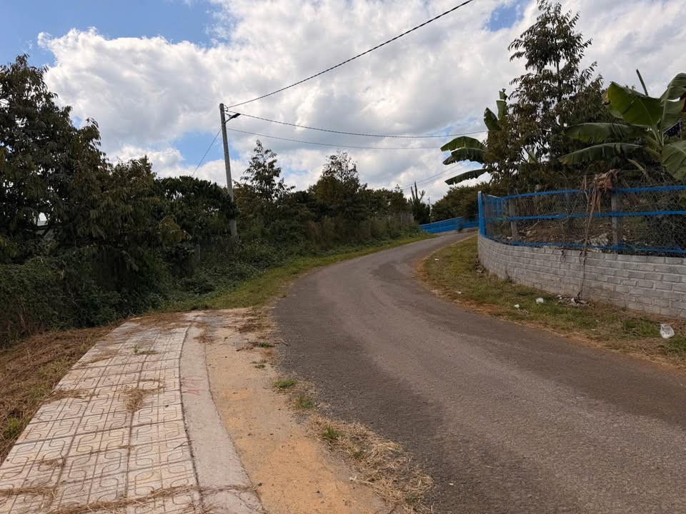 Đất nền Tân Lạc, Bảo Lâm 246.8m² - Full thổ cư, tiềm năng tăng giá!