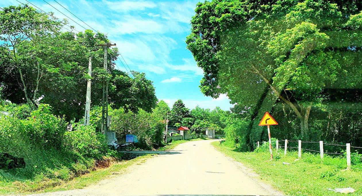 Đất Nền An Bình, Lạc Thủy 300m² - Tiềm Năng Tăng Giá Vượt Trội!